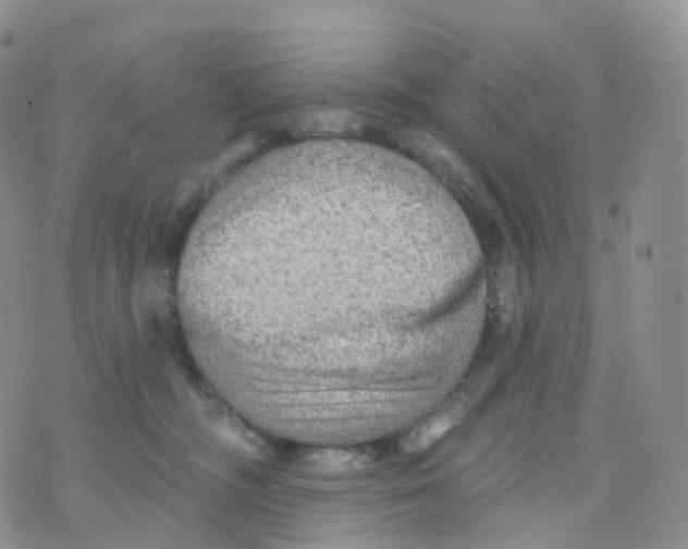 X0000070420326200606302107