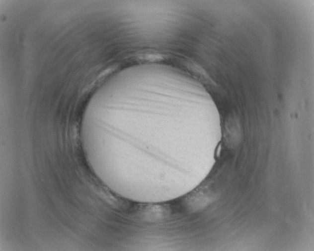 X0000070420330200606302107