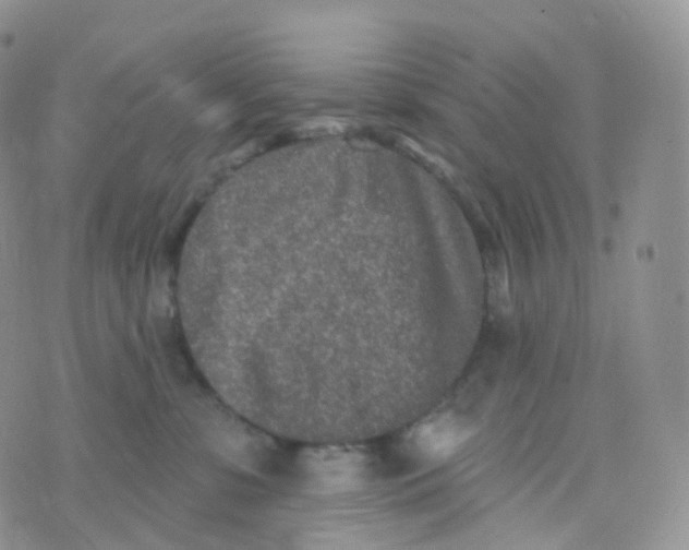 X0000070420331200606302107