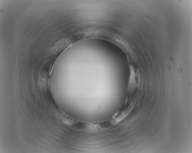 X0000070420333200606302107