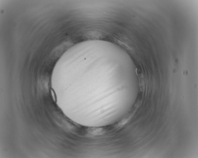 X0000070420334200606302107