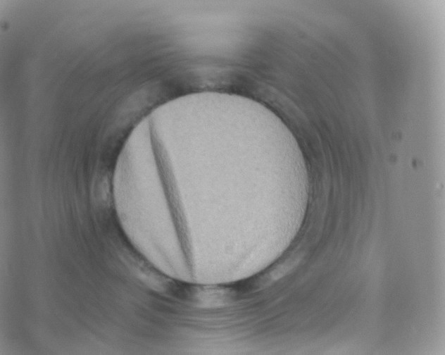 X0000070420336200606302107