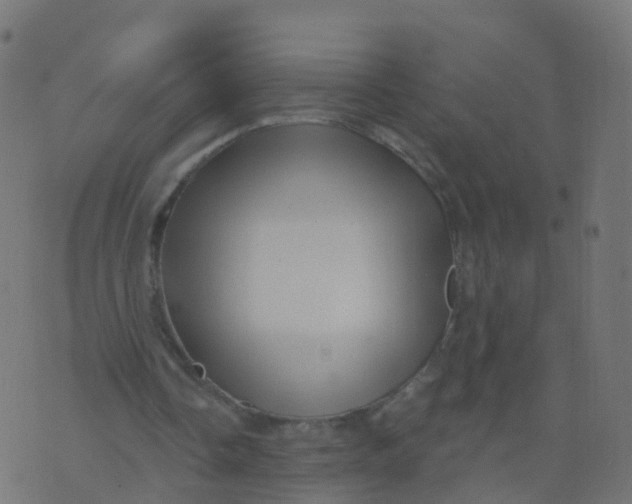 X0000070420338200606302106