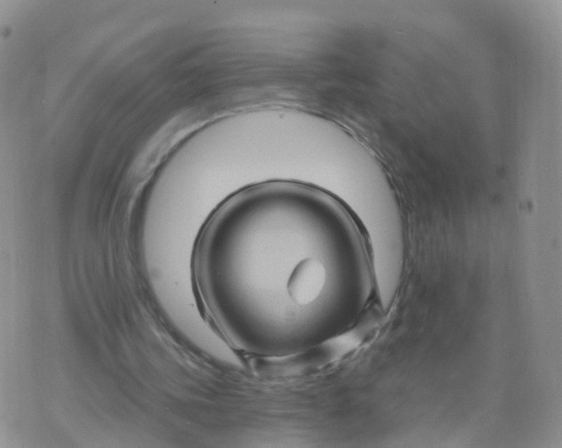 X0000070420339200606302106