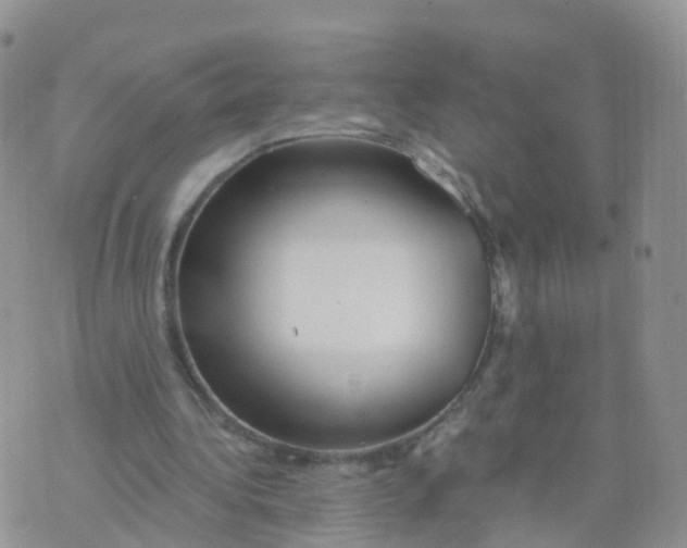 X0000070420340200606302106