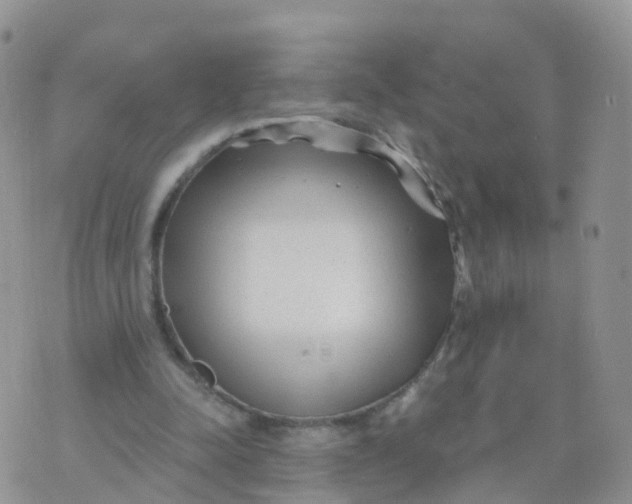 X0000070420342200606302107