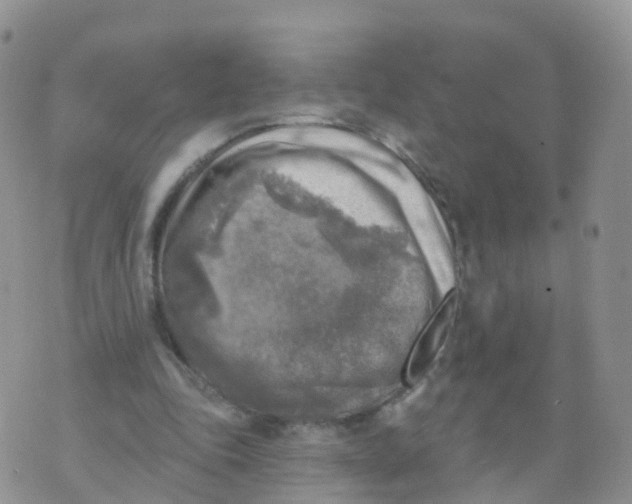 X0000070420343200606302107