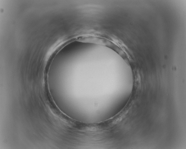 X0000070420344200606302107