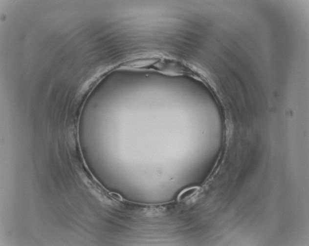 X0000070420345200606302107