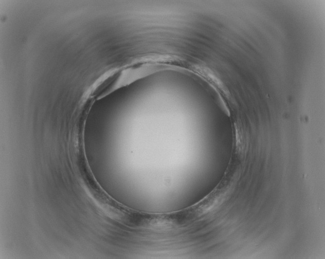 X0000070420348200606302107