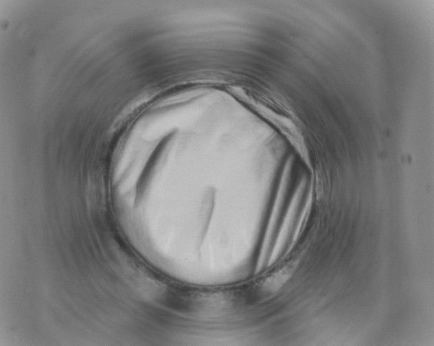 X0000070420349200606302107