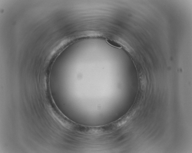 X0000070420350200606302107