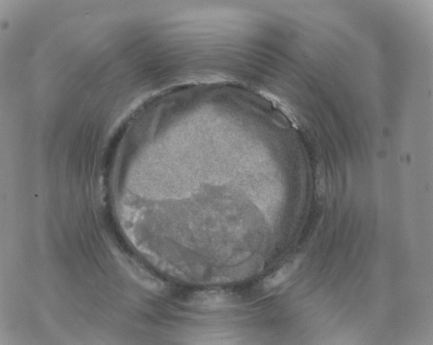 X0000070420351200606302107