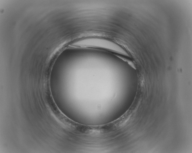 X0000070420352200606302107