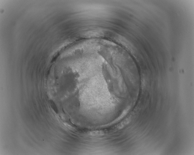 X0000070420353200606302107