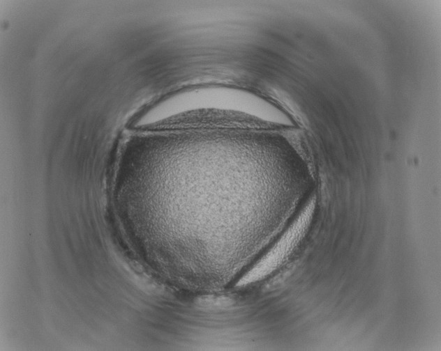 X0000070420354200606302107