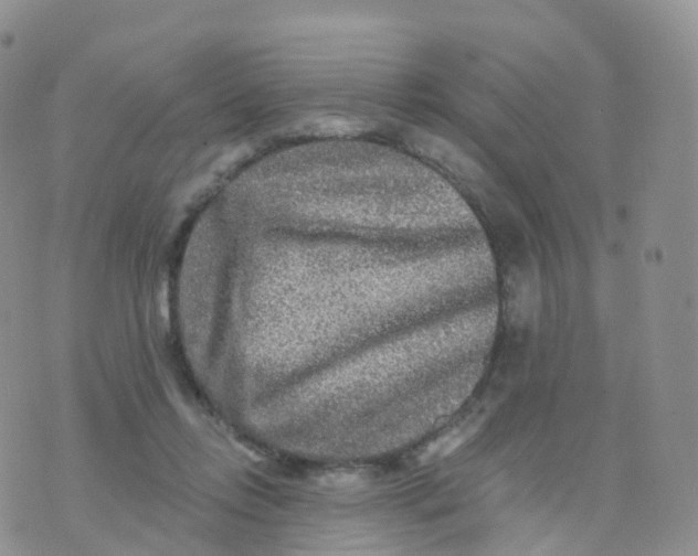 X0000070420358200606302107