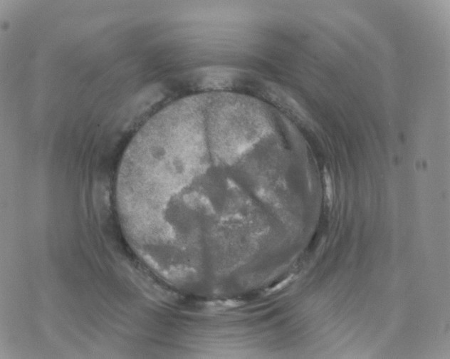 X0000070420363200606302107