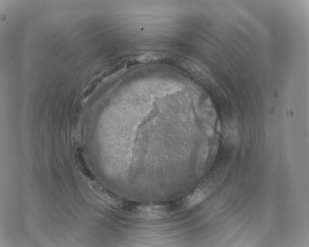 X0000070420367200606302107