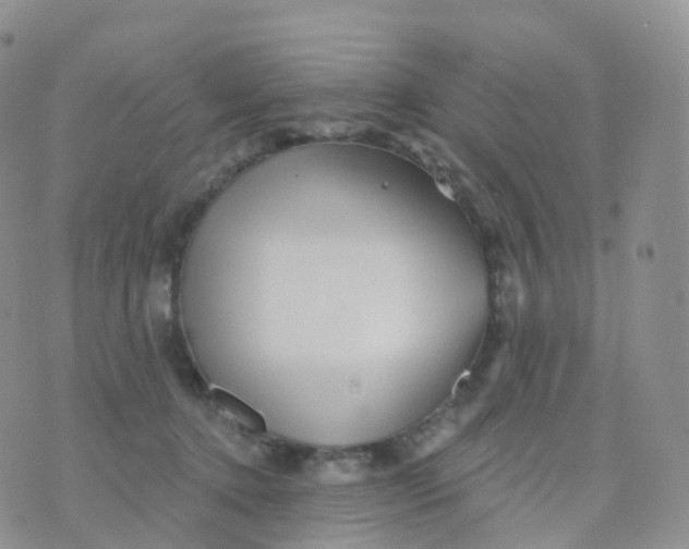 X0000070420368200606302107