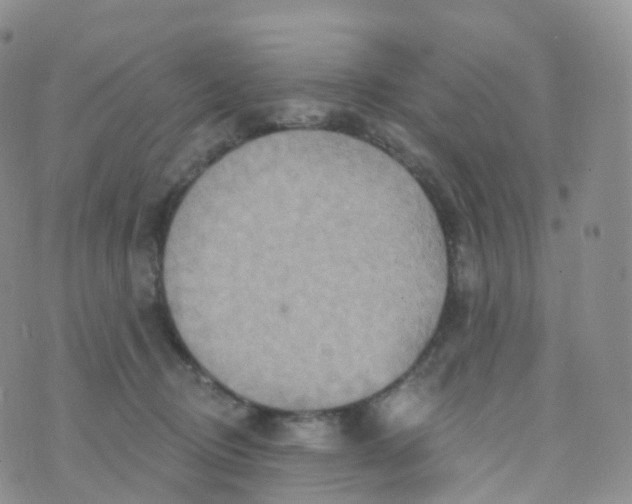 X0000070420370200606302107