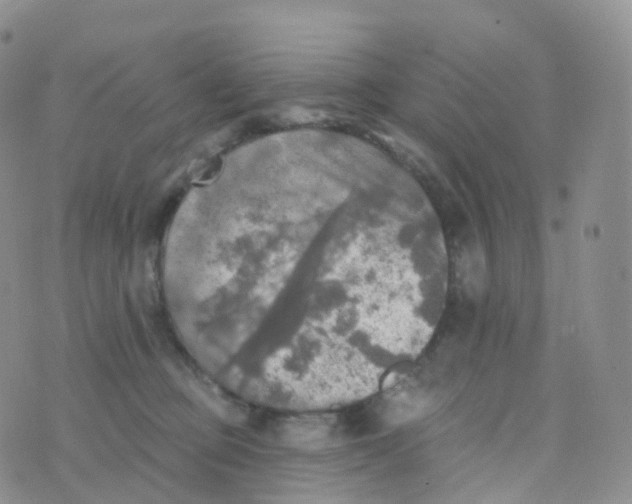 X0000070420373200606302107