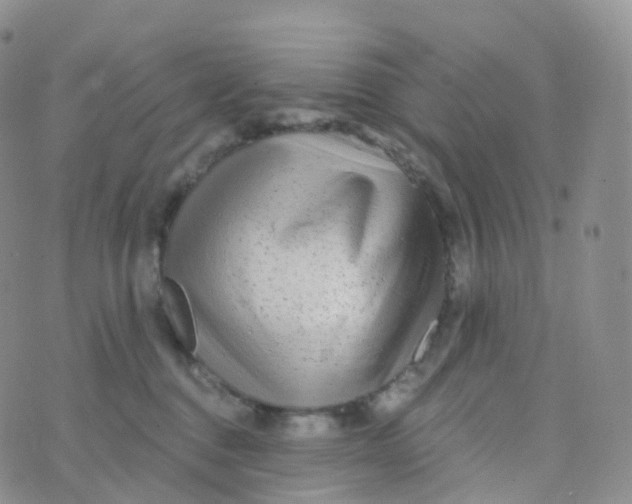 X0000070420376200606302107