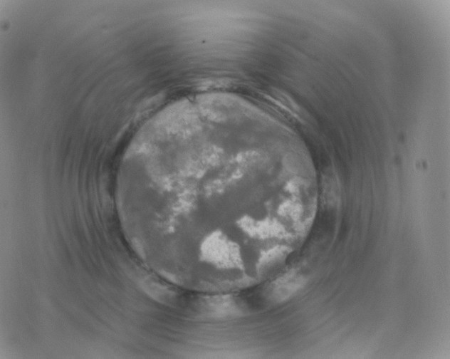 X0000070420377200606302107