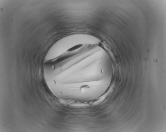 X0000070420380200606302107