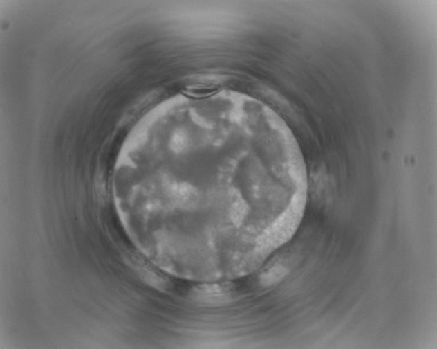 X0000070420381200606302107