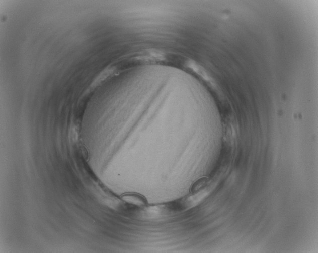 X0000070420382200606302107