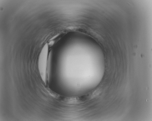 X0000070420384200606302107