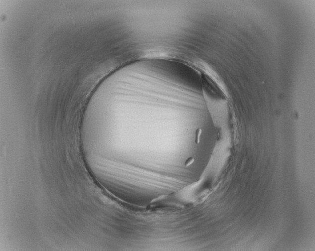 X0000070420385200606302106