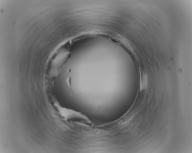 X0000070420387200606302106