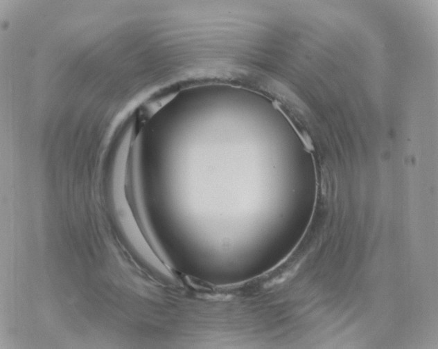 X0000070420388200606302106