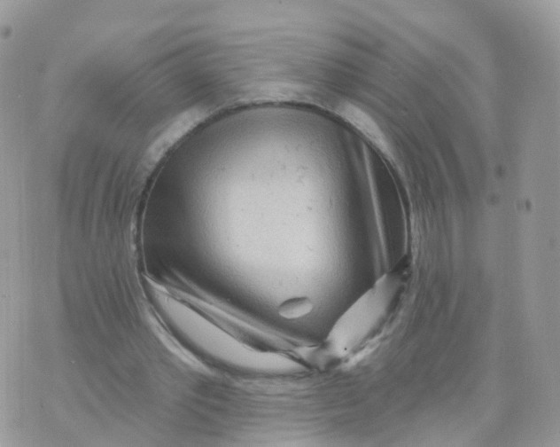 X0000070420389200606302106