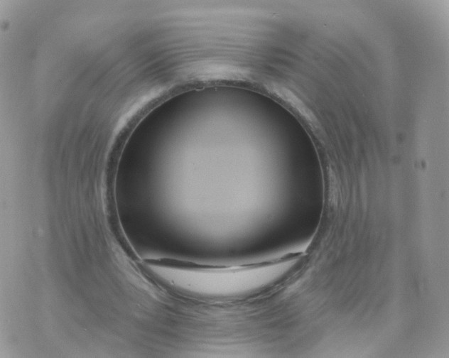 X0000070420391200606302106