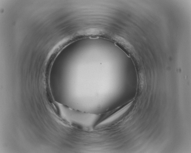 X0000070420392200606302106