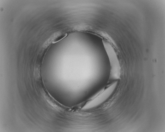 X0000070420393200606302106