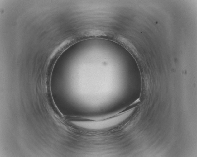 X0000070420395200606302106