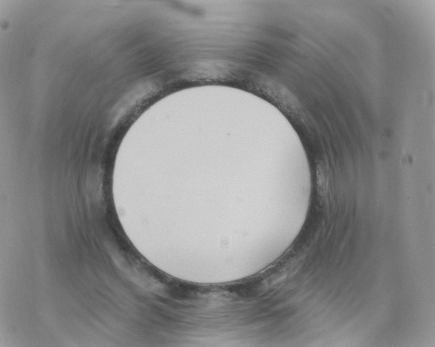 X0000070420396200606302106