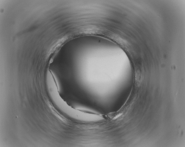 X0000070420397200606302106