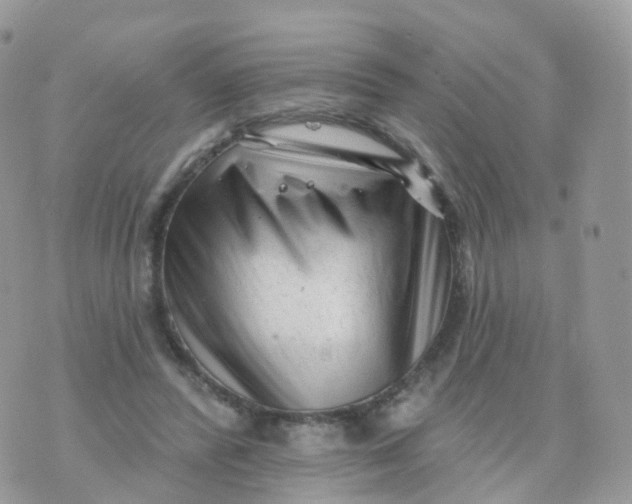 X0000070420400200606302106