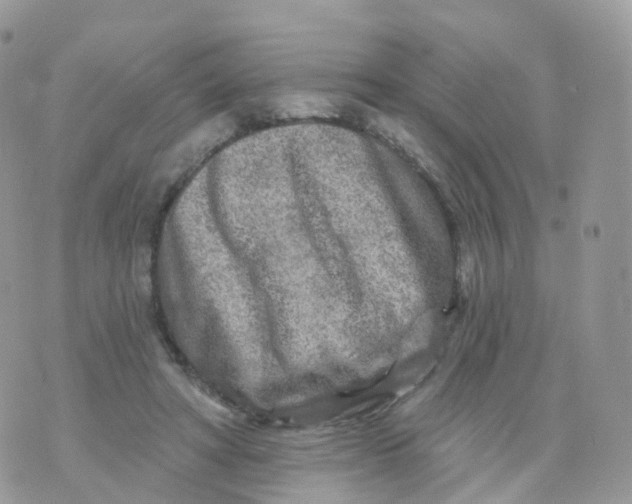 X0000070420402200606302106