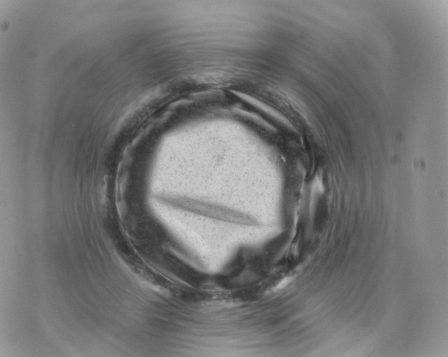 X0000070420404200606302106