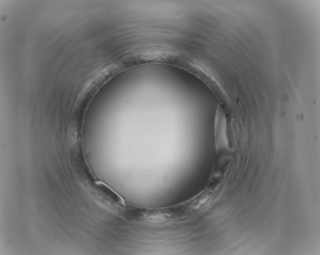 X0000070420407200606302106