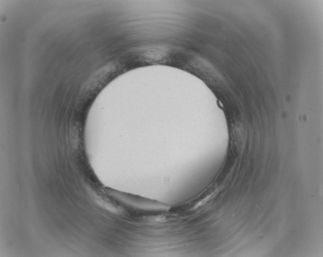 X0000070420412200606302106