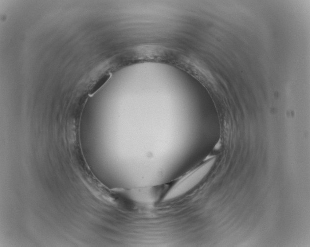 X0000070420413200606302106