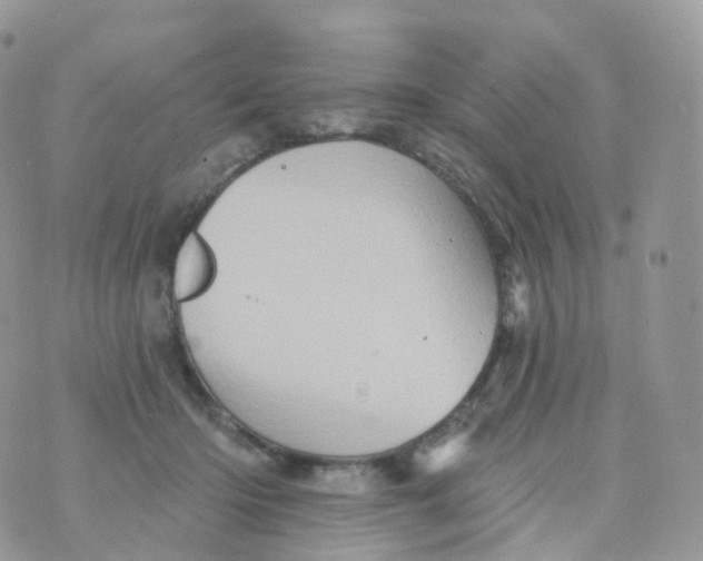 X0000070420414200606302106