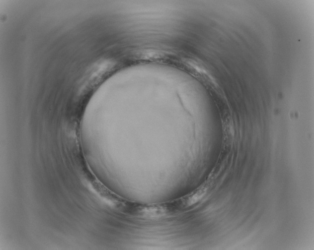 X0000070420415200606302106